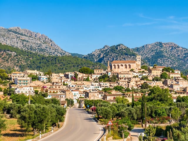 Selva, Mallorca, photo