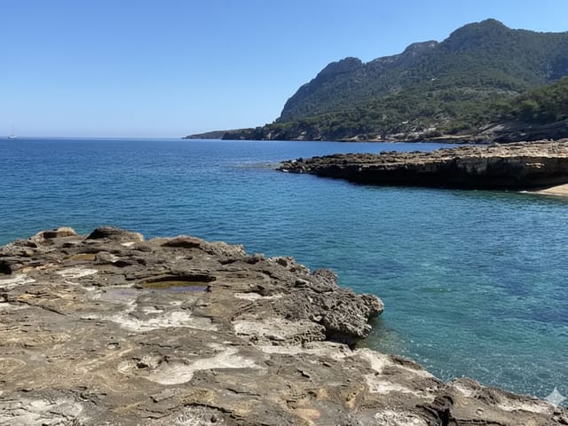 Ses Barreres, beach, Mallorca, photo