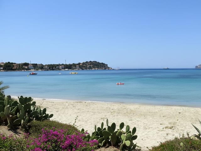 Ses Rotes Velles, beach, Mallorca, photo