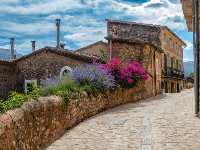 Son Pacos, Mallorca, photo