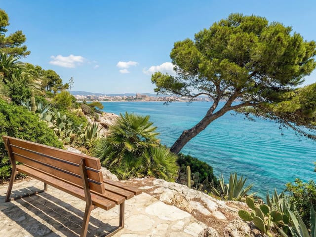 Son Veri Nou, Mallorca, photo