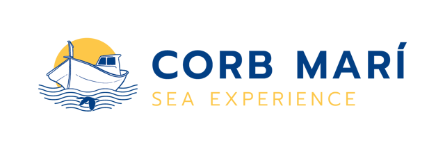 Corb marí Sea Experience, Activities & Sightseeing, Port Colonia de Sant Jordi, Mallorca, photo