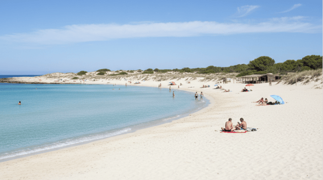 Why Go to Mallorca?, photo