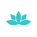 Wellness & Beauty category icon