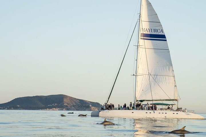Día de Mar en Catamarán por el Parque Natural de Levante, water-activities, Capdepera, Mallorca