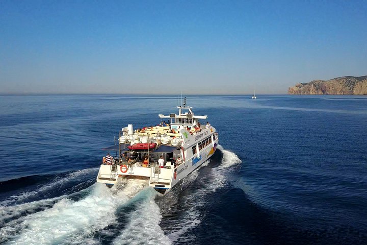 Dolphin Watching Experience in the Southwest Coast of Mallorca, water-activities