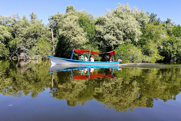 Boat Ride-Gentle Beach Beach Horseback Ride - Crocs - Turtles, water-activities, Mallorca