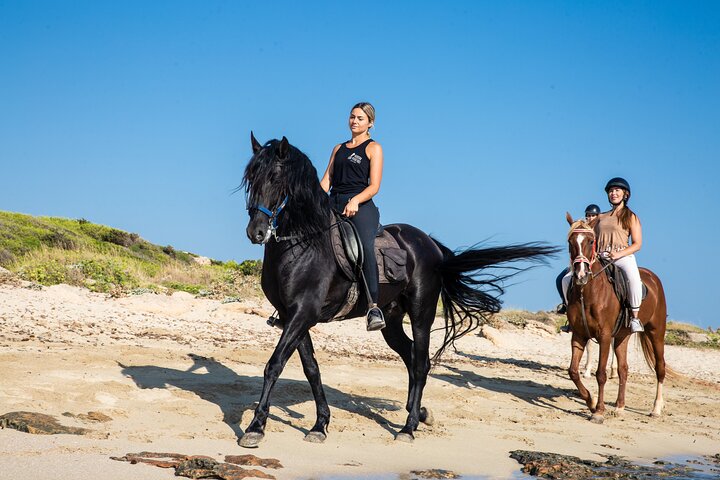 3-Hour Beach Horse Riding to Discover the Beauty of Alcudia Bay, water-activities, Can Picafort · Alcúdia, Mallorca
