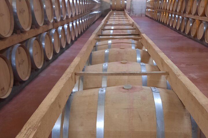 Tour de bodegas XL Mallorca incl. 3 catas de vino Recogida en la costa suroeste, water-activities, Santa Maria del Cami · Santa Maria del Camí, Mallorca