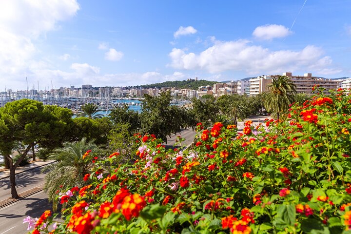 Explore Palma in 60 minutes with a Local, water-activities, Palma de Mallorca · Palma