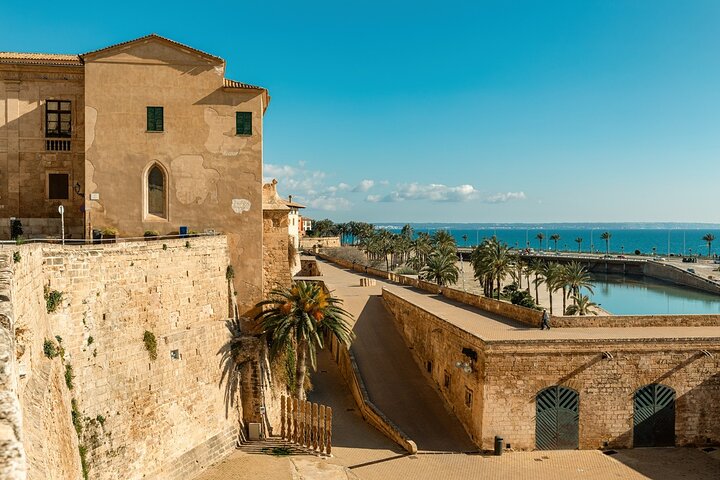 Palma de Mallorca Privétour met Skip-the-Line toegang tot de kathedraal, water-activities, Palma de Mallorca · Palma