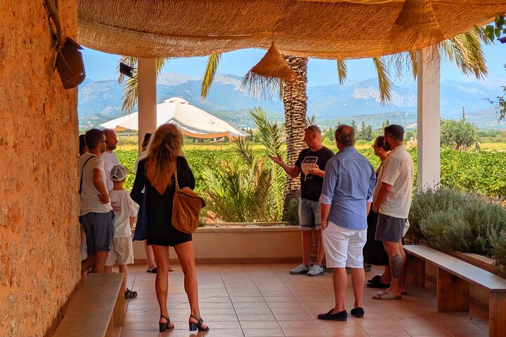 Mallorca Wine Tour Taste Local Wines in Santa Maria, water-activities, Binissalem, Mallorca