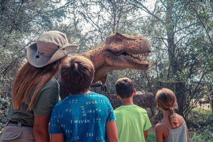 Excursión Familiar Cuevas de Hams y Dinosaurland en Mallorca, water-activities, Sa Marineta · Manacor, Mallorca