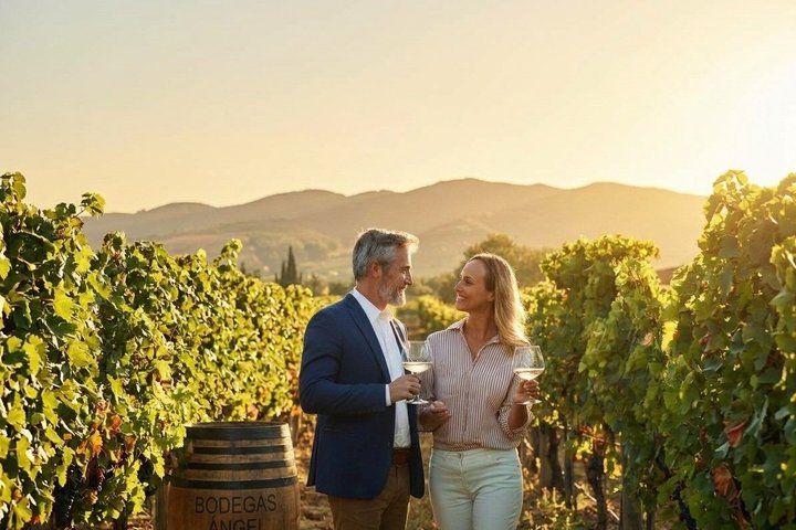Mallorca Weintour Verkosten Sie lokale Weine in Santa Maria, water-activities, Binissalem, Mallorca