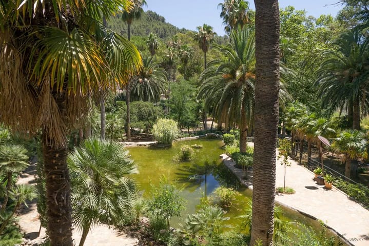 Jardines de Alfabia Mallorca, Activities & Sightseeing, Bunyola, Mallorca