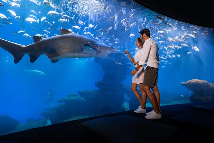 Palma Aquarium, Activities & Sightseeing, Palma de Mallorca