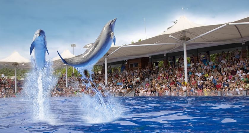 Marineland Mallorca, Activities & Sightseeing, Costa d’en Blanes, Mallorca