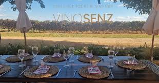 Joe Pommer - Vinosenz, Activities & Sightseeing, Lloseta, Mallorca