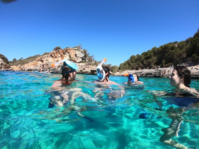 GoFurGo Tours Coves & Beaches Mallorca, Activities & Sightseeing, Palma de Mallorca