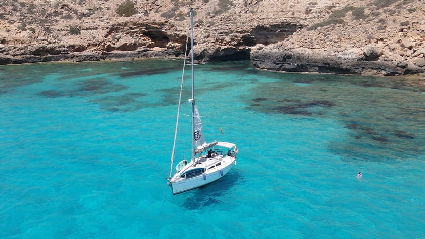 Vela Mayorca, Activities & Sightseeing, Palma de Mallorca