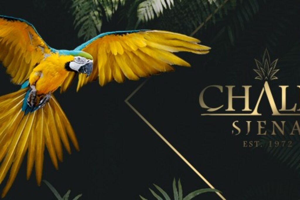 Chalet Siena Playa de Palma – Now with 10% Off via Mallorcard