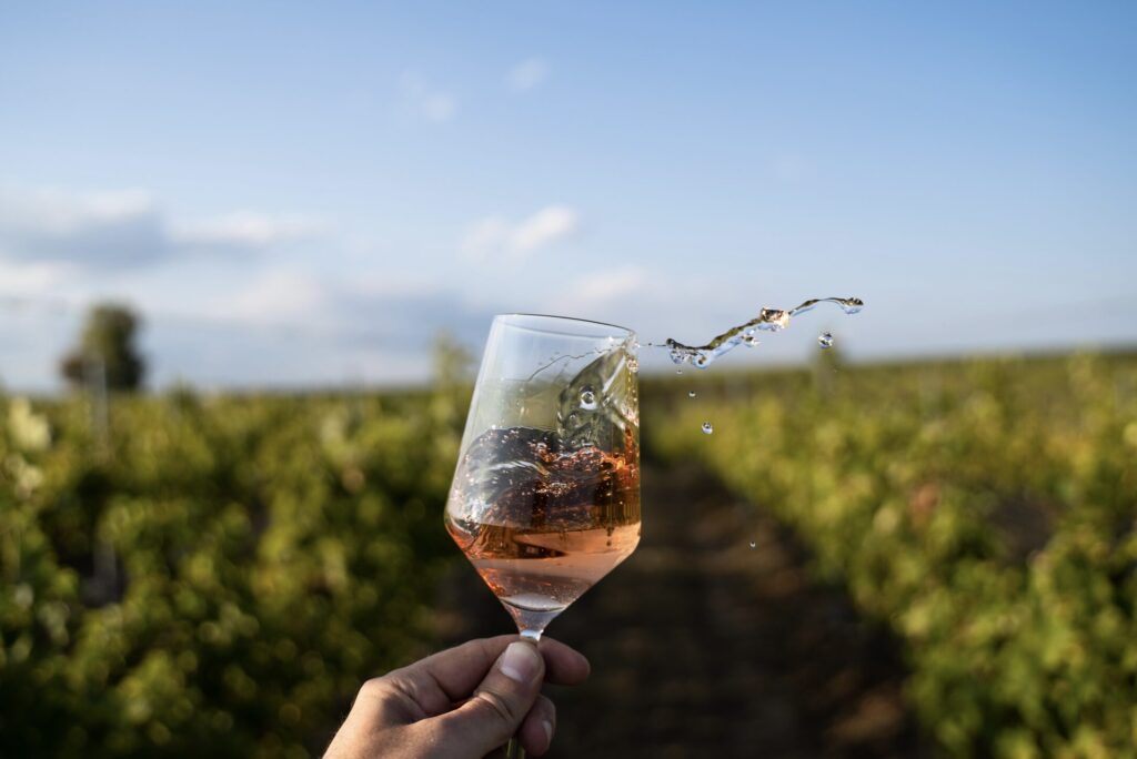 Exploring Mallorca’s Wine Tasting Scene: A Guide to the Island’s Best Vineyards