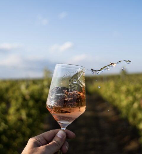 Family-Friendly Hotels in Mallorca: Perfect Stays for Your Family Getaway