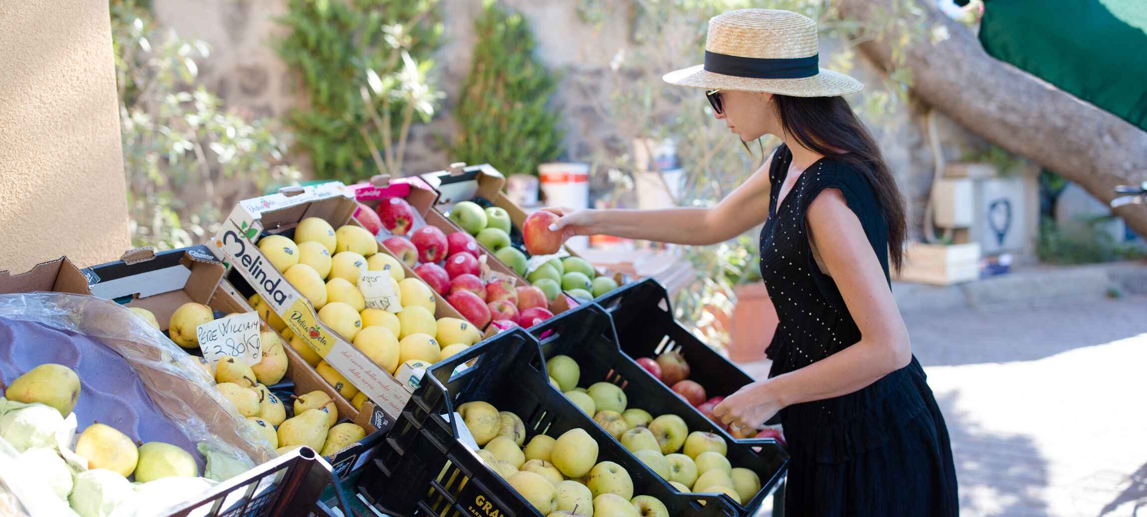 A guide to market in Mallorca