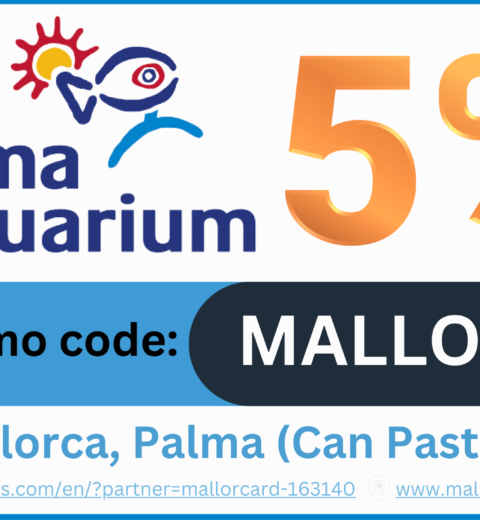 Thrilling Speed Boat Playa de Palma Adventure | Mallorca, El Arenal