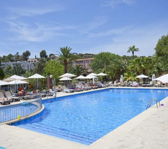 FERGUS Bermudas | Palmanova