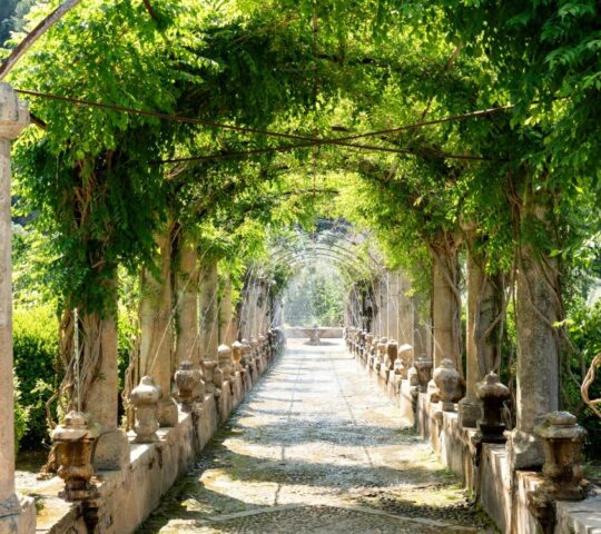 Jardines de Alfabia Mallorca | -5% Discount – Bunyola