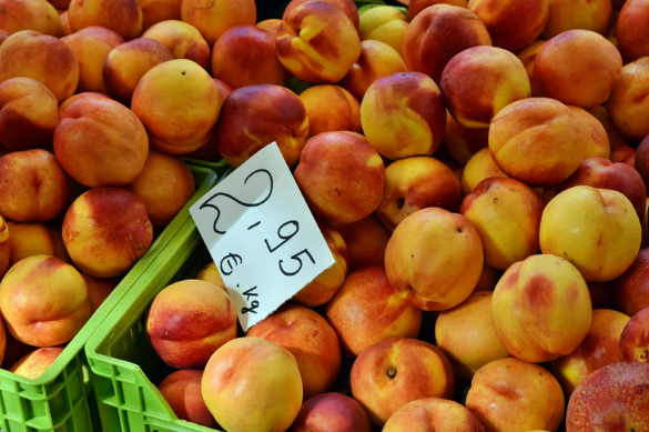 Weekly Market Alcúdia Mallorca – Discover Local Delights & Traditional Charm