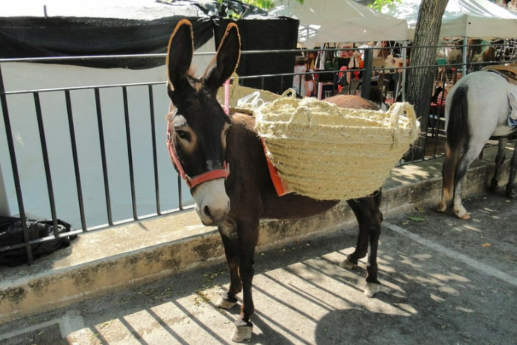 Weekly Market Sineu Mallorca – Historic Charm & Local Traditions