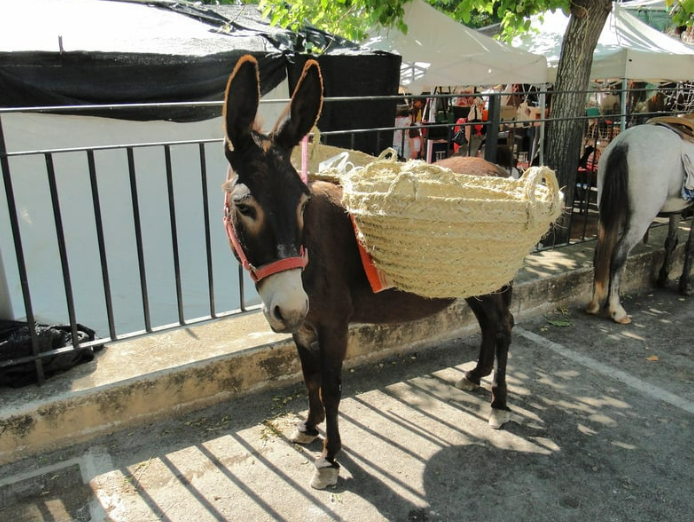 Weekly Market Sineu Mallorca – Historic Charm & Local Traditions