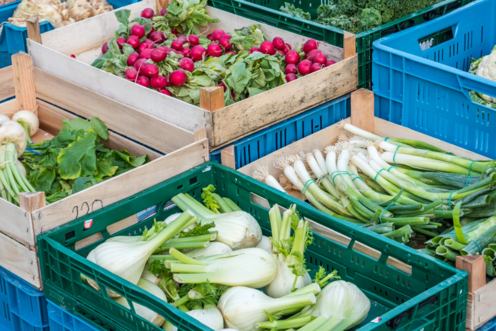 Weekly Market Son Servera Mallorca – Charming Village & Authentic Local Products