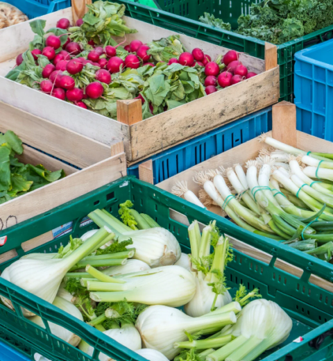 Weekly Market Alaró Mallorca – Authentic Traditional Charm & Hidden Local Treasures