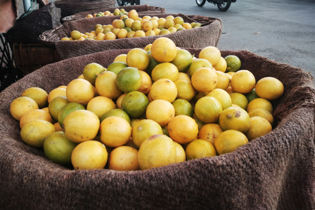 Weekly Market Port de Sóller Mallorca – Unforgettable Maritime Charm & Local Traditions