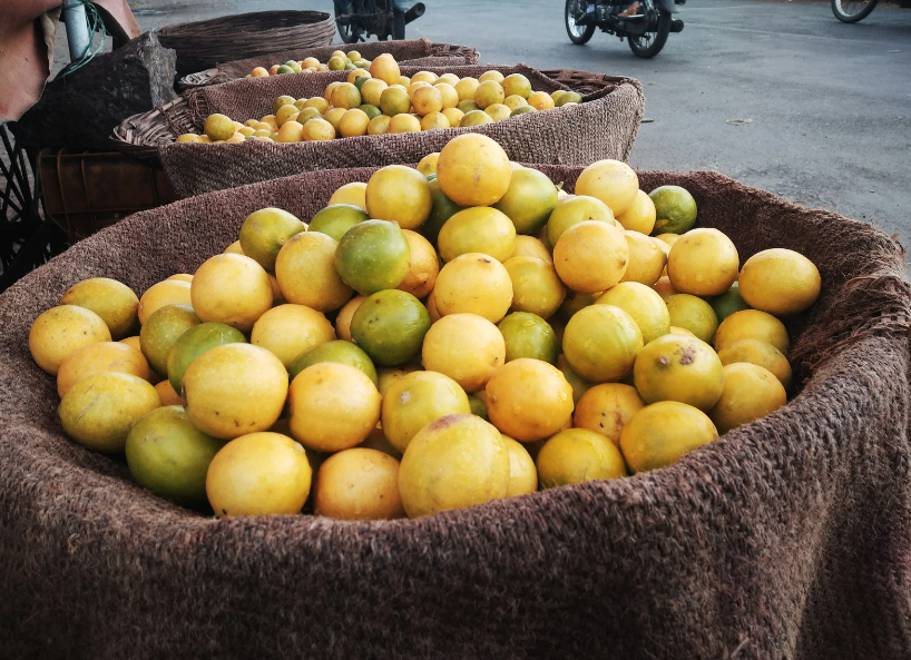 Weekly Market Port de Sóller Mallorca – Unforgettable Maritime Charm & Local Traditions