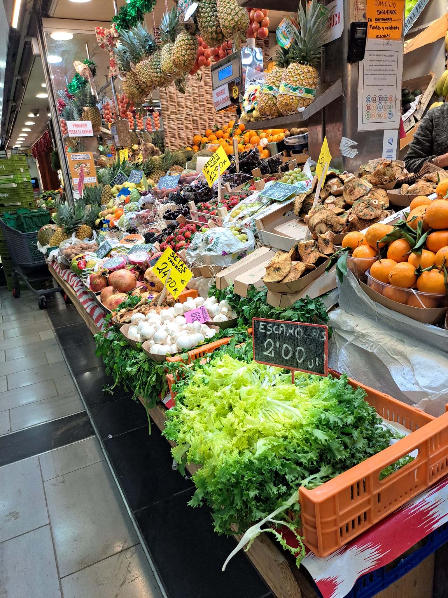 Mercat Olivar Palma Mallorca – Authentic Culinary Delights & Local Tradition