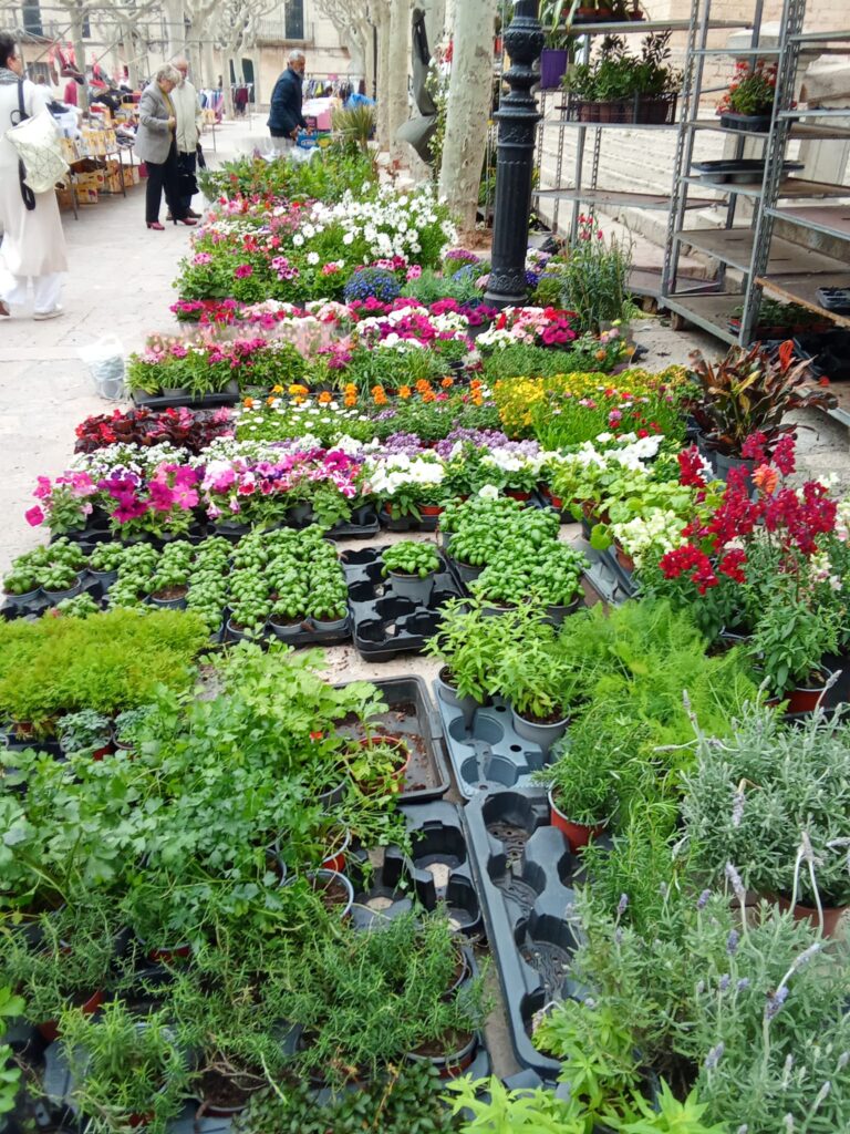 A vibrant selection of fresh flowers and aromatic herbs at the Binissalem market, perfect for garden lovers and plant enthusiasts.