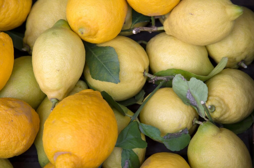 Fresh Mallorcan lemons at the weekly market Colònia de Sant Jordi – organic and full of Mediterranean flavor.