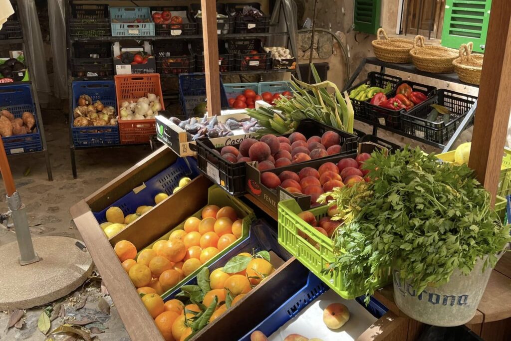 Weekly Market Deià Mallorca – Artistic Charm, Local Delights & Hidden Gems