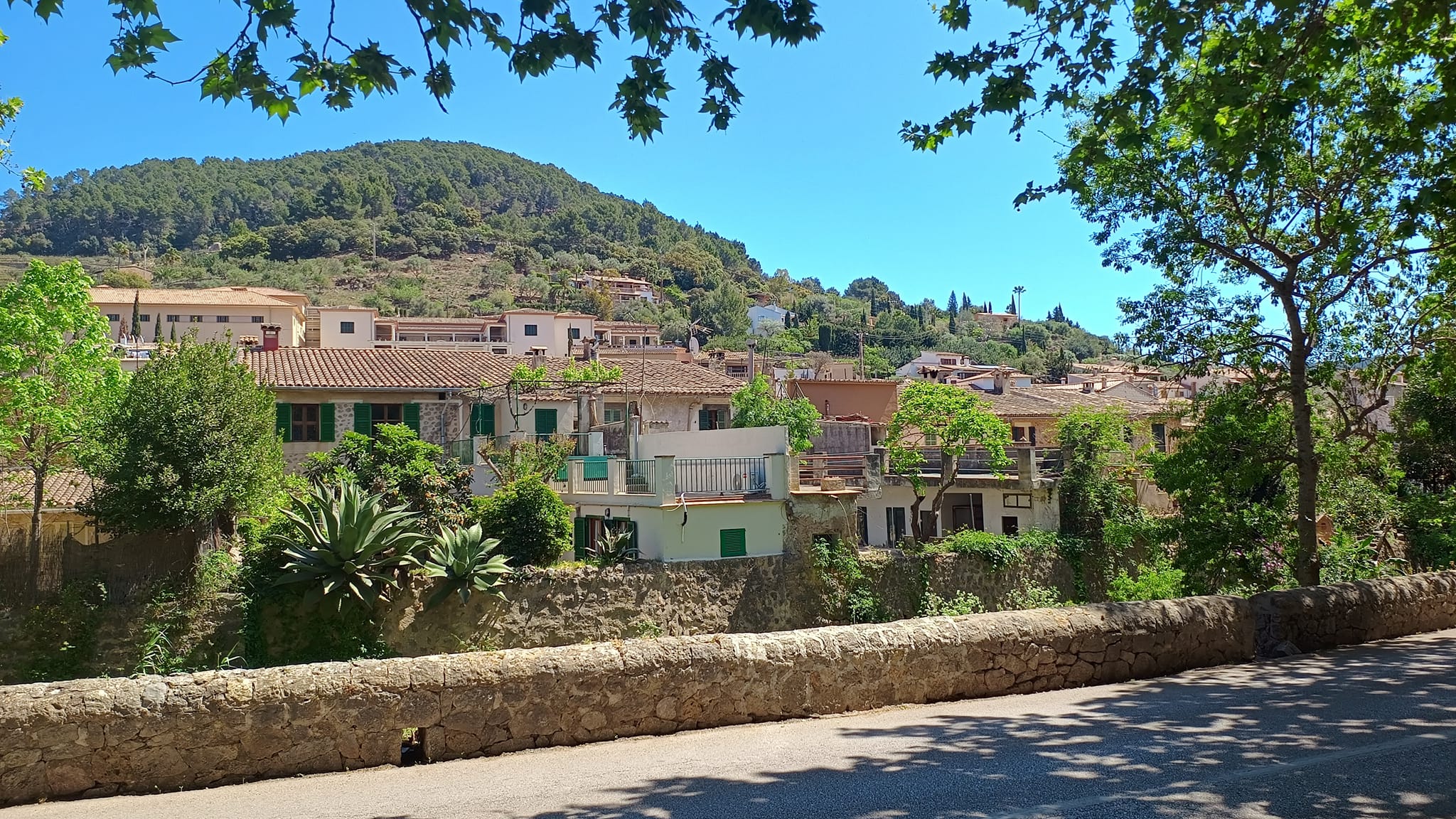 Weekly Market Esporles Mallorca – Mountain Village Charm & Authentic Local Flair