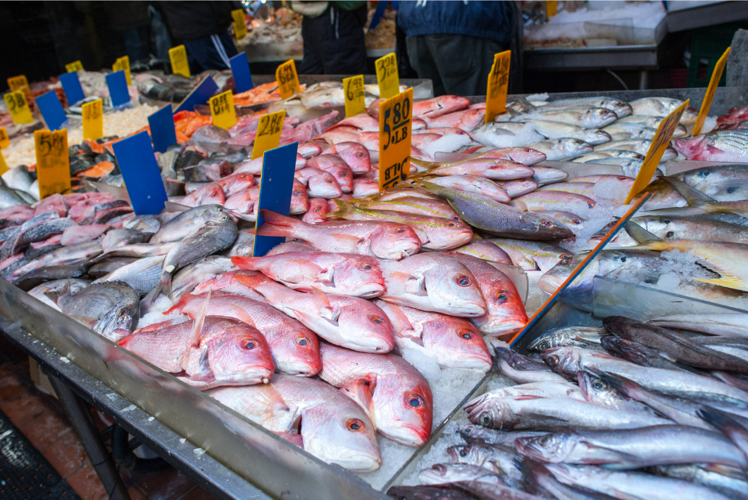Weekly Market Port de Pollensa Mallorca – Authentic Seaside Gem for Local Flavors & Artisan Finds