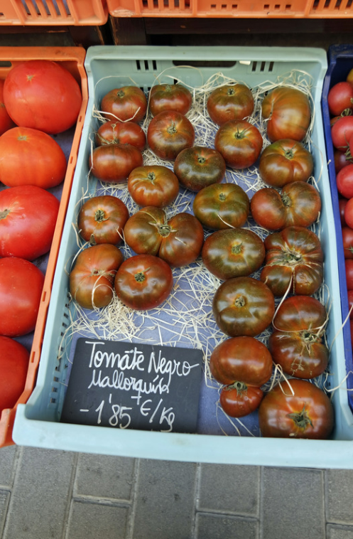 Fresh tomatoes at the weekly market in Sa Pobla, Mallorca – local tomato varieties on display.