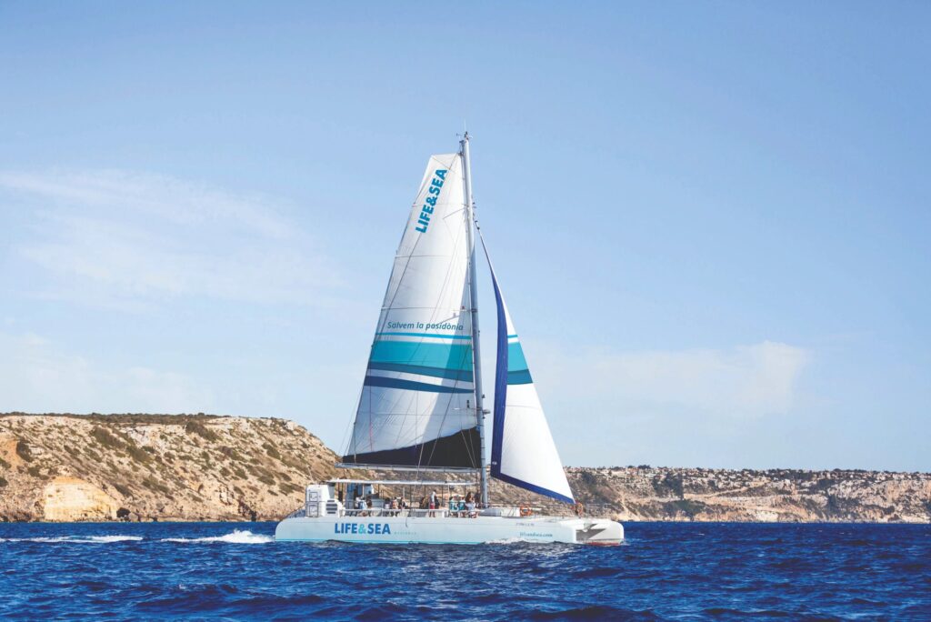 2-Hour Catamaran Tour Playa de Palma (Platja de Palma) – Enjoy an Unforgettable Sail, Swim & Chill Experience with Mallorcard