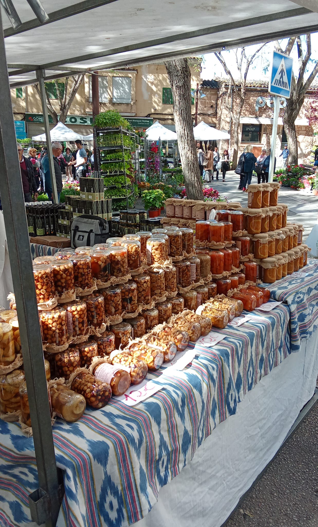 Weekly Market Manacor Mallorca – Tradition, Quality & Local Charm